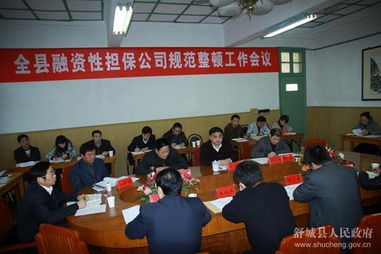 全縣融資性擔保公司規(guī)范整頓工作會議順利召開