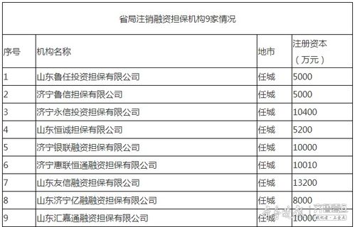 濟寧9家融資擔保機構退出市場，行業規范再升級